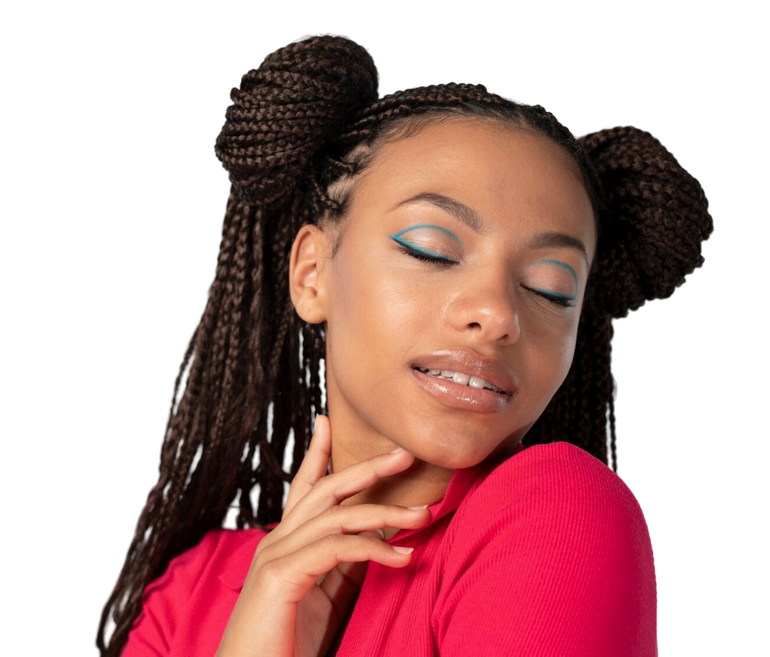 Perfil de un peinado trenzado con trenzas africanas y una trenza larga, mostrado sobre un fondo blanco.