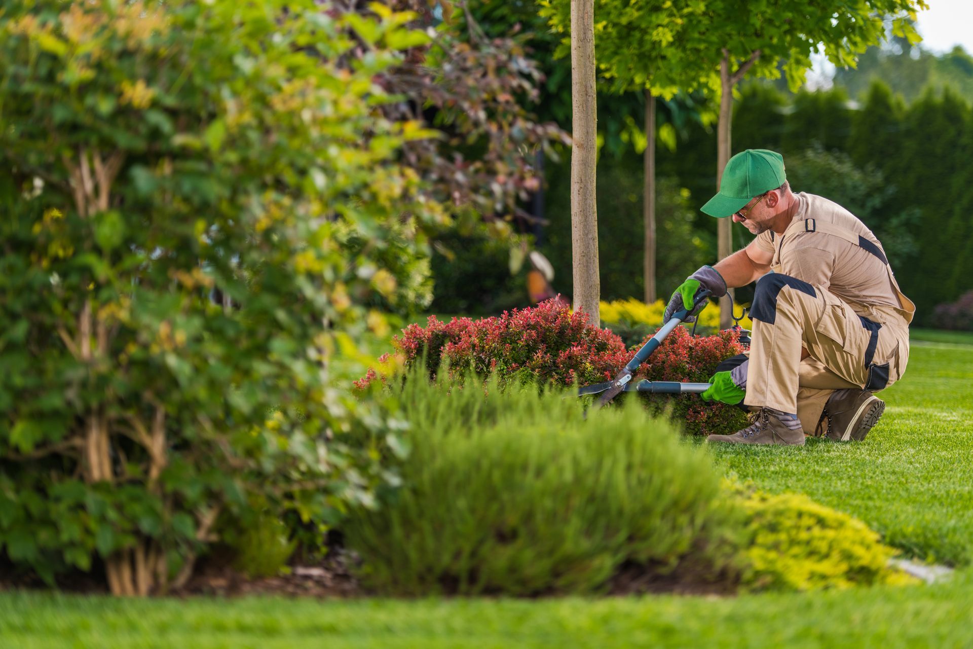 Jardinier s'occupant des plantes