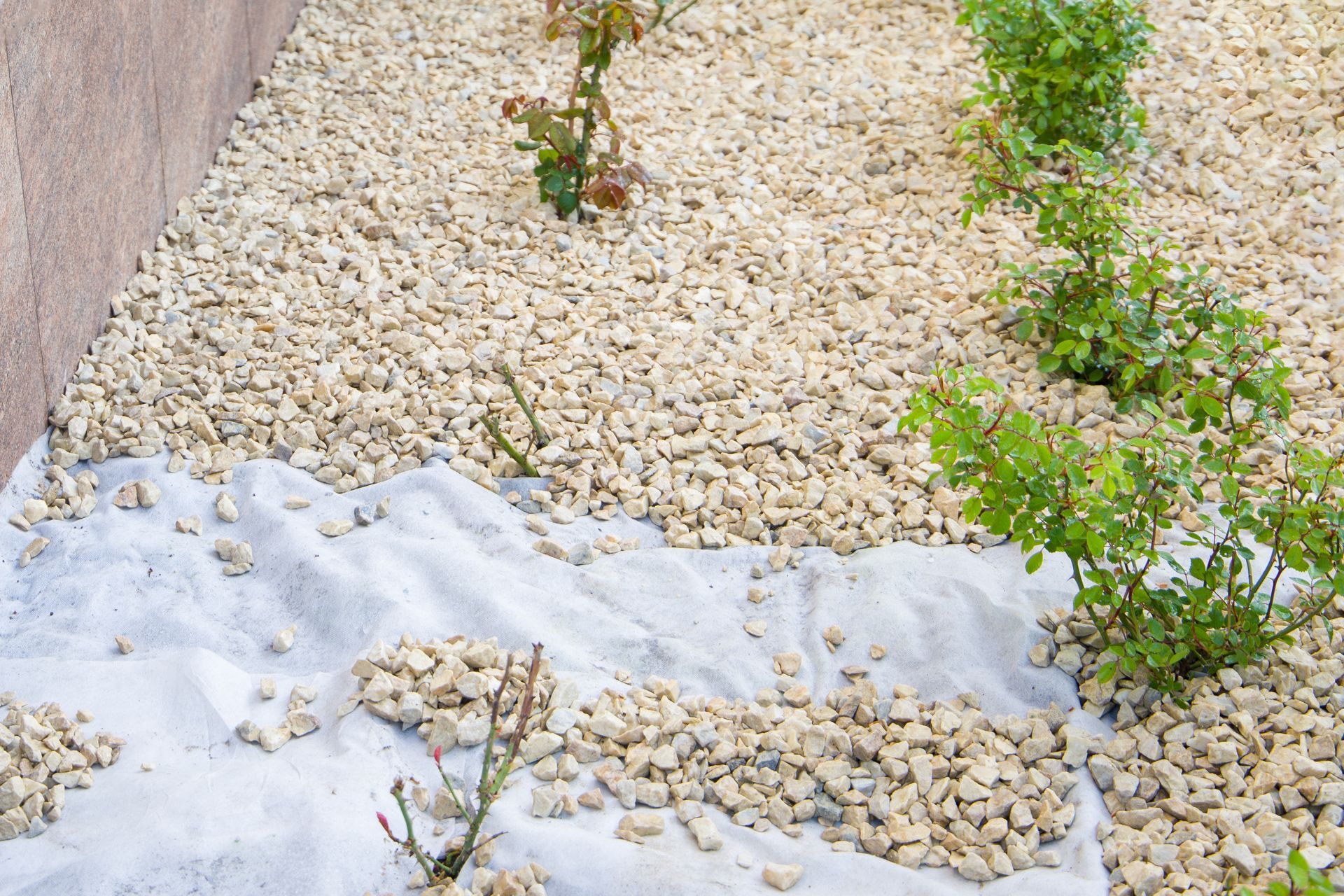 Géotextile autour de plantes