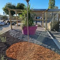 Plantation d'un palmier