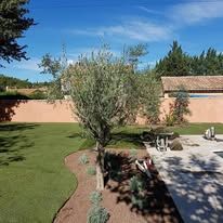 Arbre dans un jardin