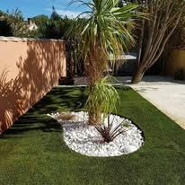 Jardin avec un arbre