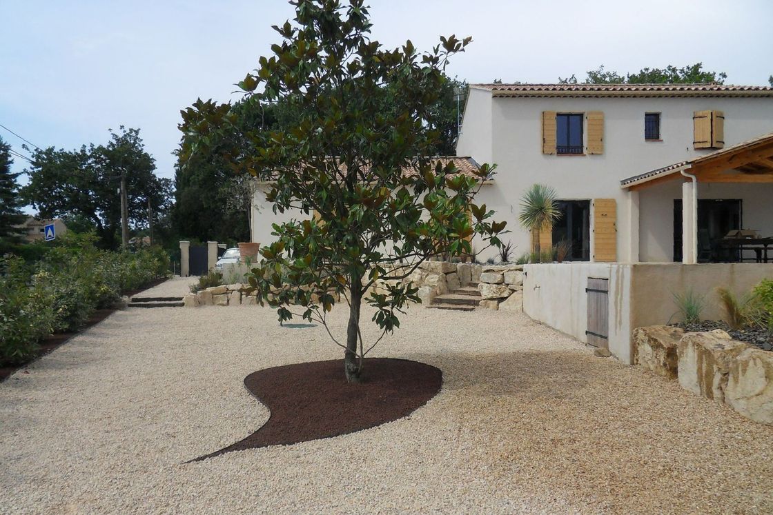 Arbre au milieu d'une cour