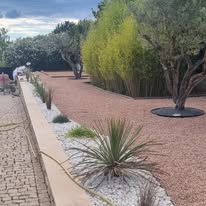 Plantation dans un jardin