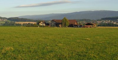 Menschen praktizieren Yoga im Freien auf Matten in einem sonnigen Innenhof mit Topfpflanzen