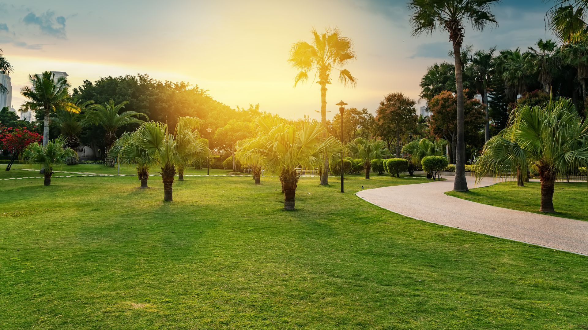 Parc ensoleillé avec des palmiers et une pelouse verdoyante sous un ciel bleu azur.