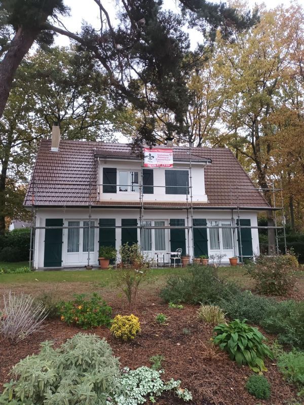 Une maison et des grands arbres.