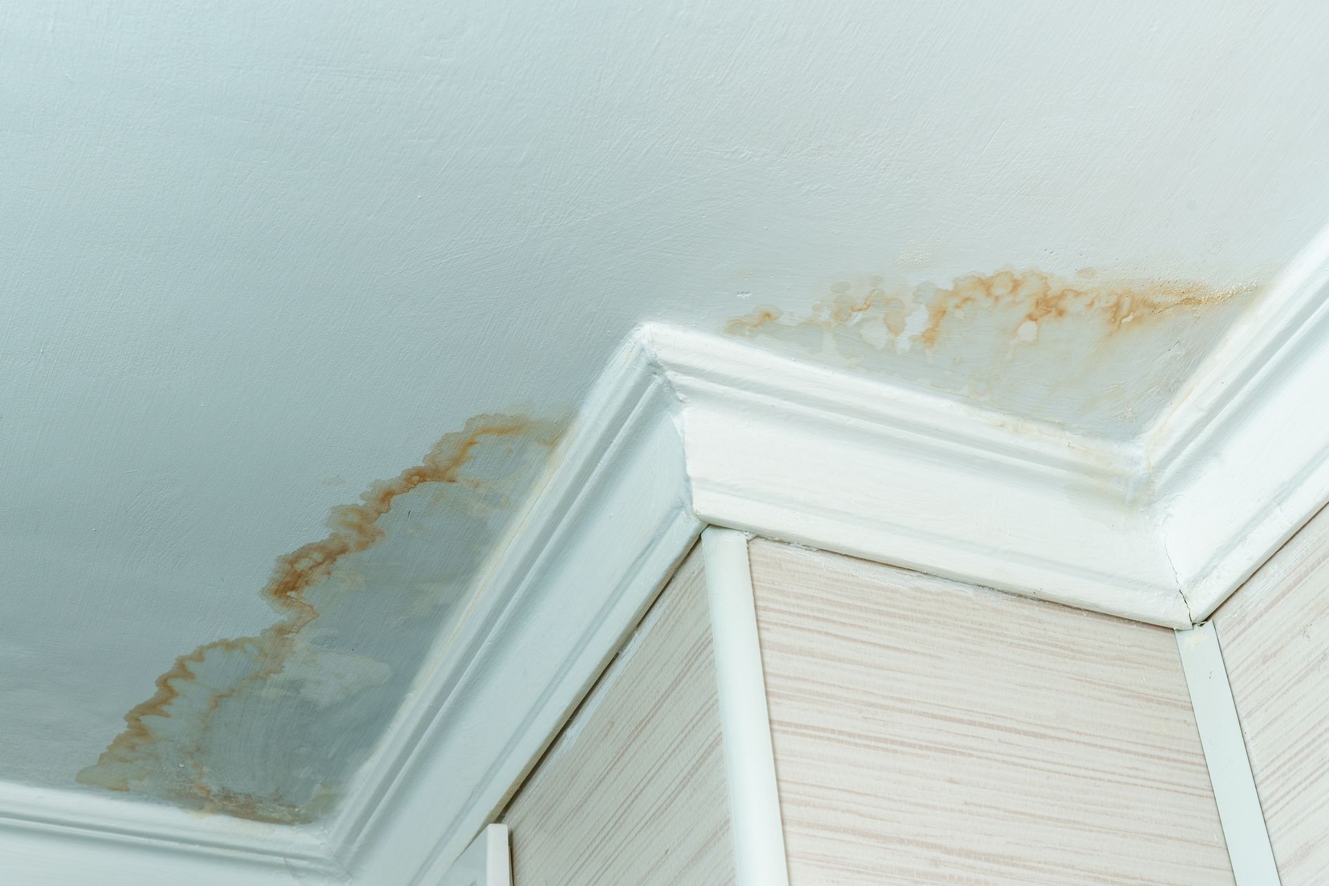 Des traces d'humidité au plafond.