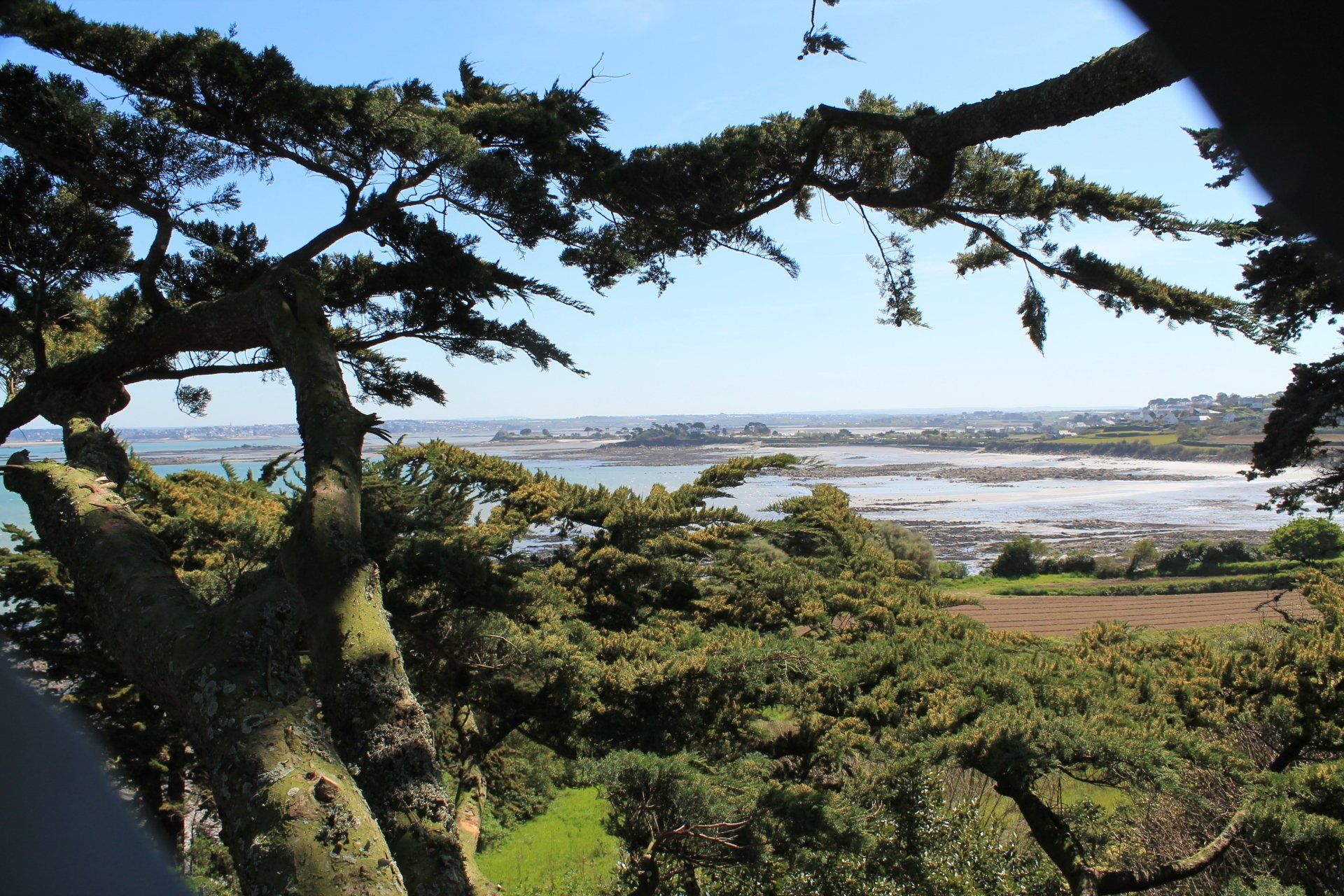 Grimpeur et abatteur