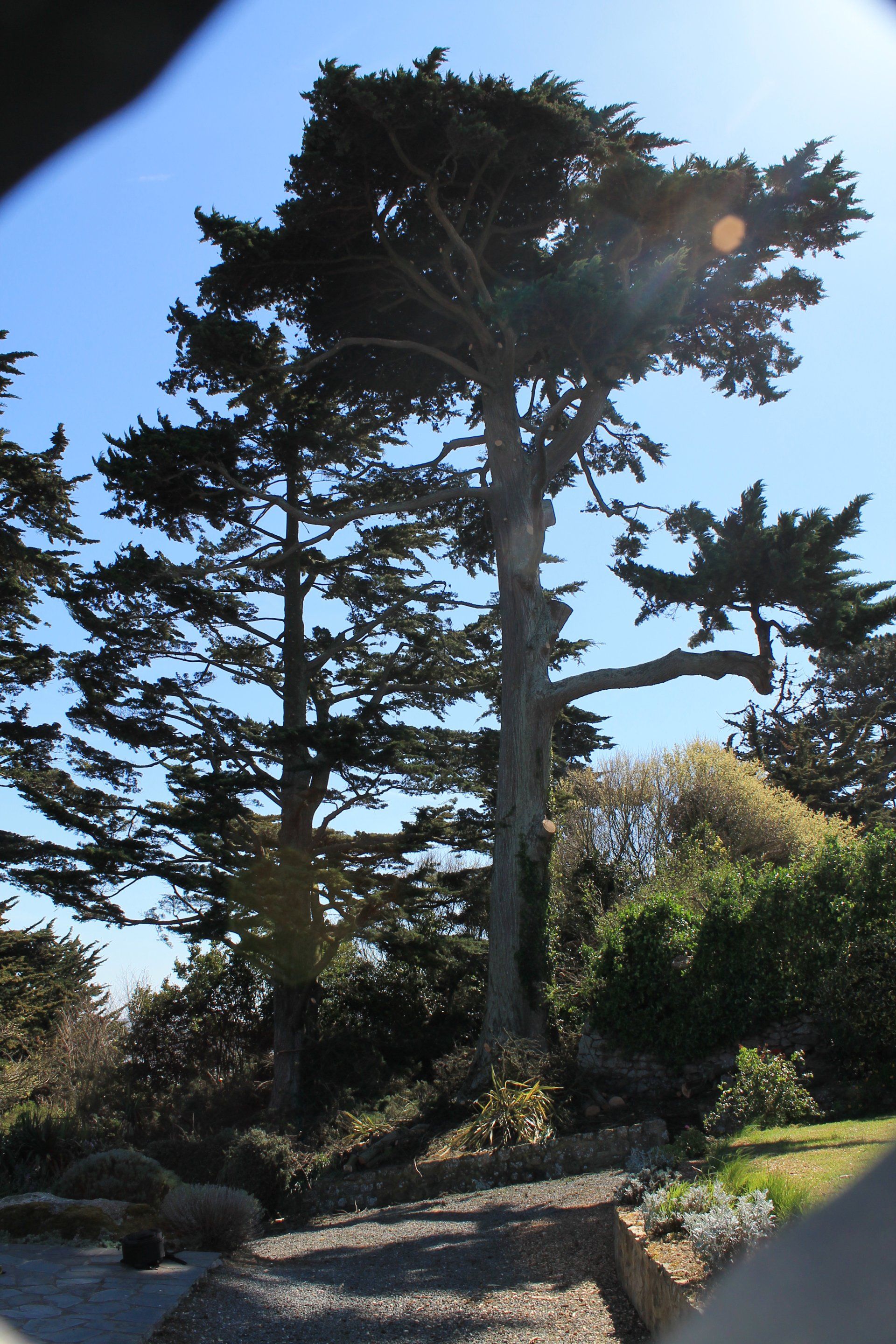 Abattage par Le Bigot