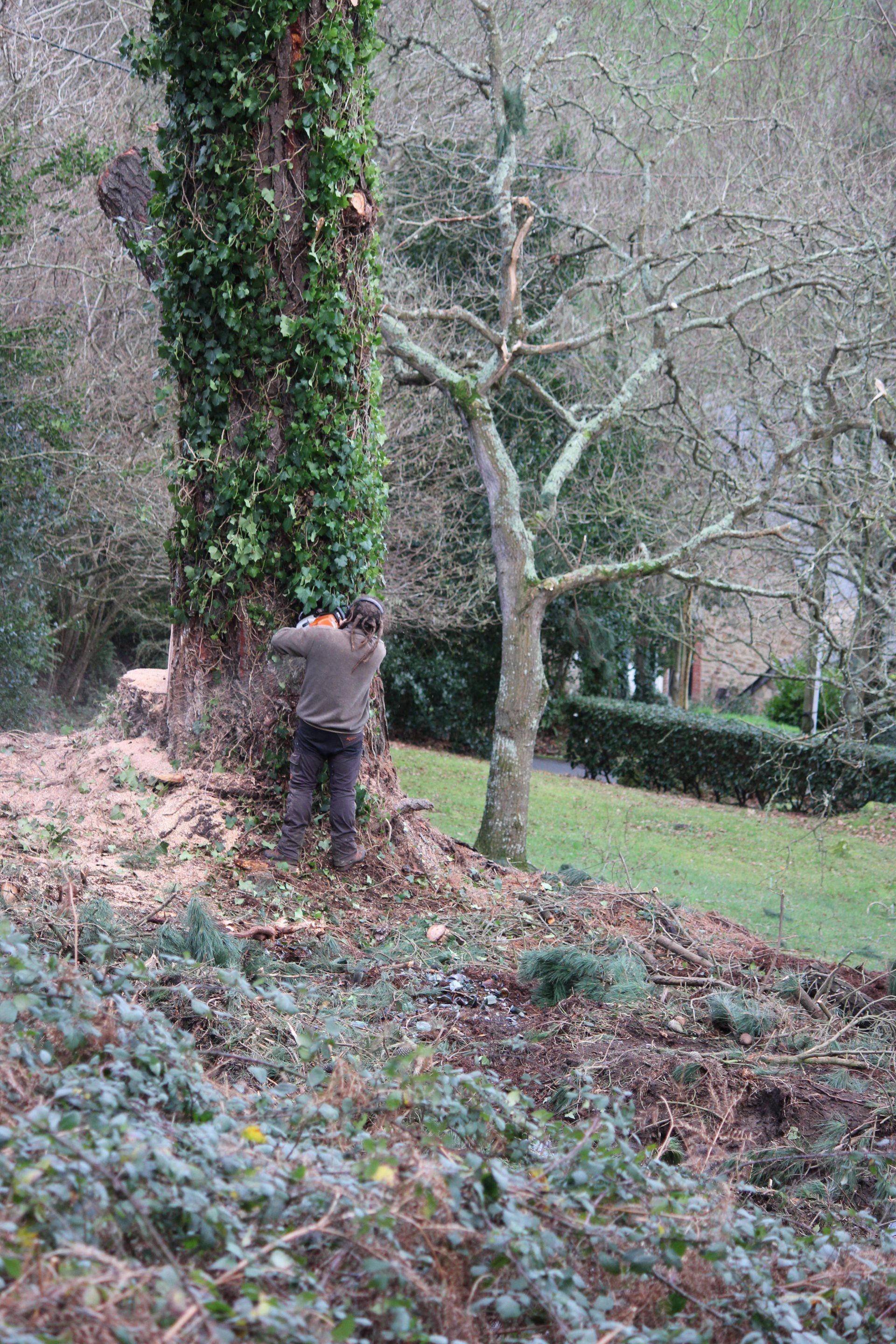 Devis gratuit à Locmélar par Christophe Le Bigot