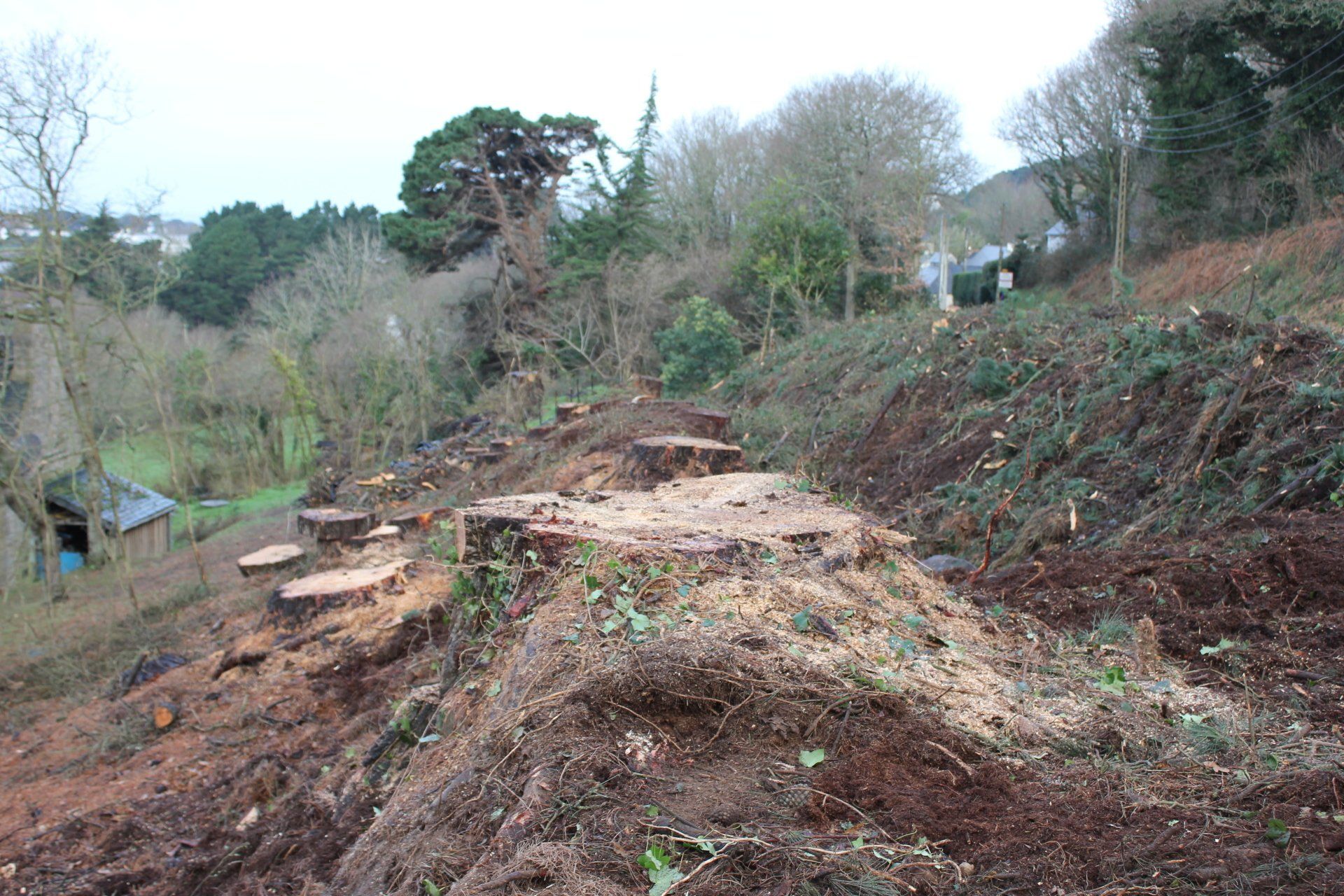 Christophe Le Bigot à Locmélar
