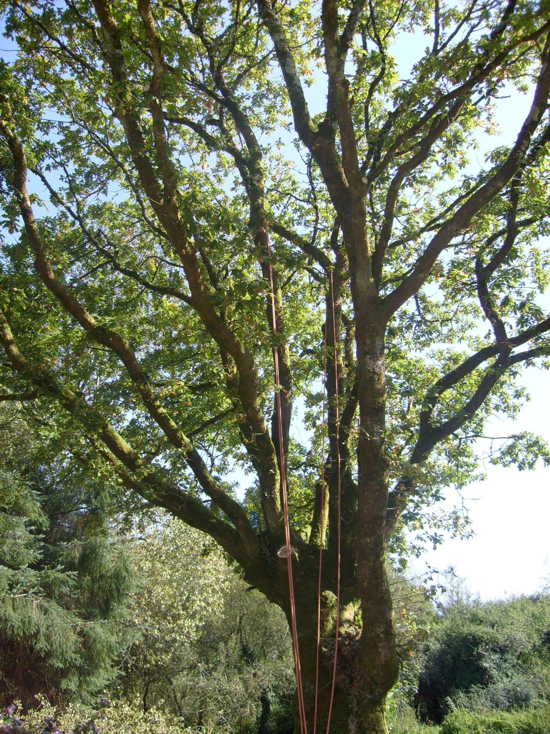 Evacuation des déchets