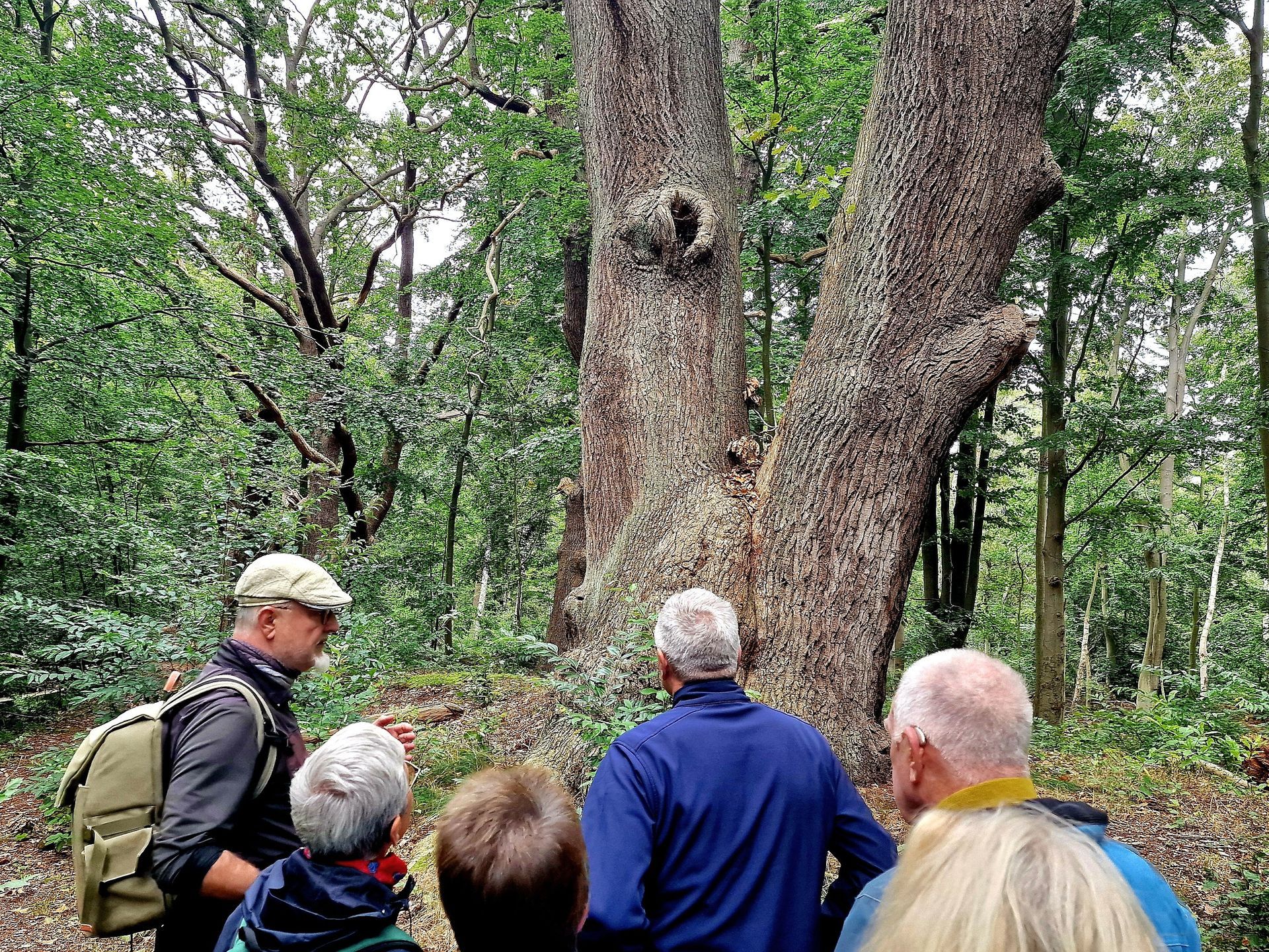 Personen laufen durch den Wald