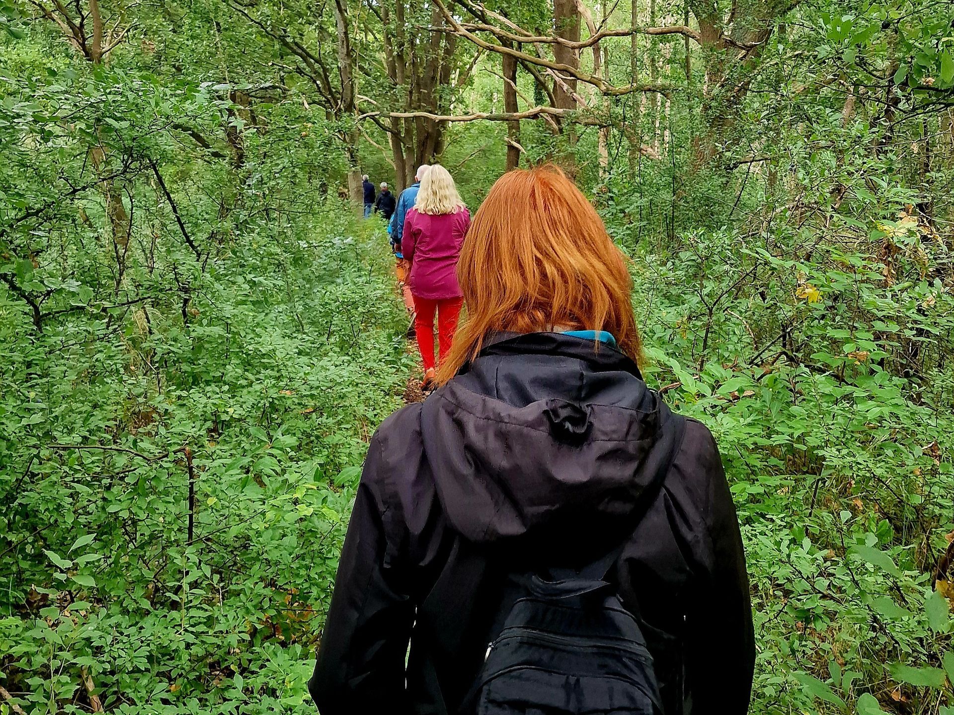 Besucher gehen durch die Rostocker heide
