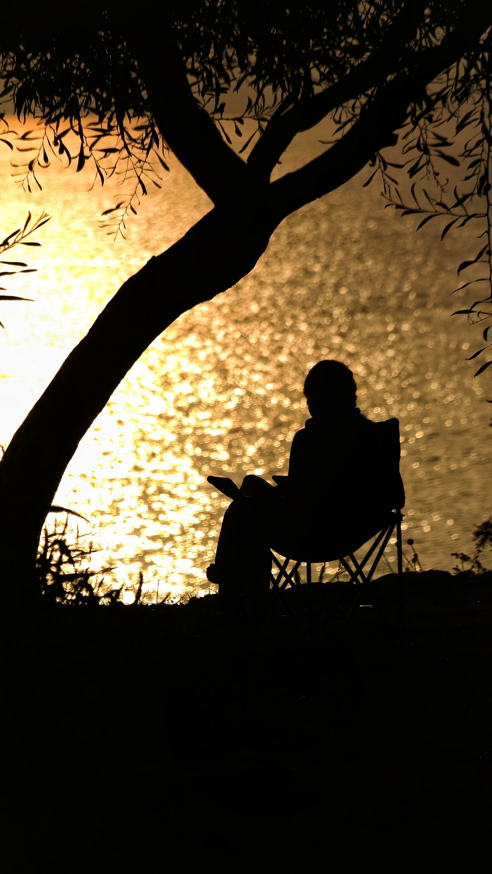 terapia paz mental