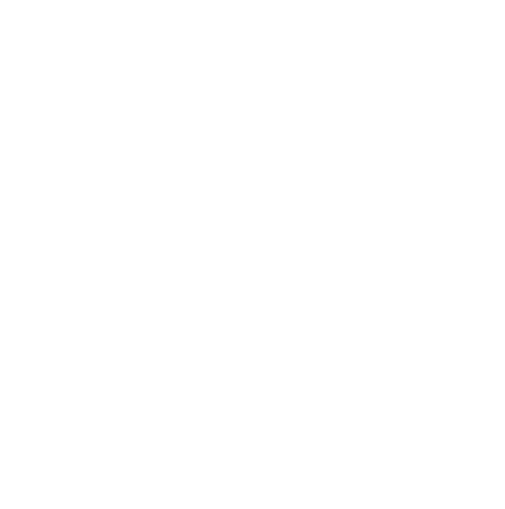 Logo Socemala blanc