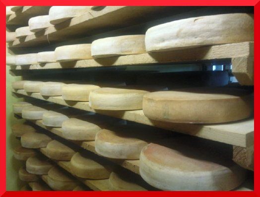 L'affinage des fromages maison