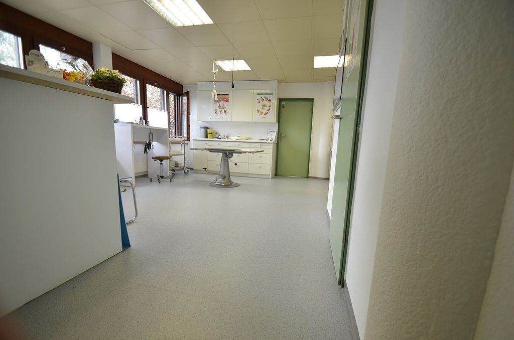 PVC-Belag in Kleintierpraxis