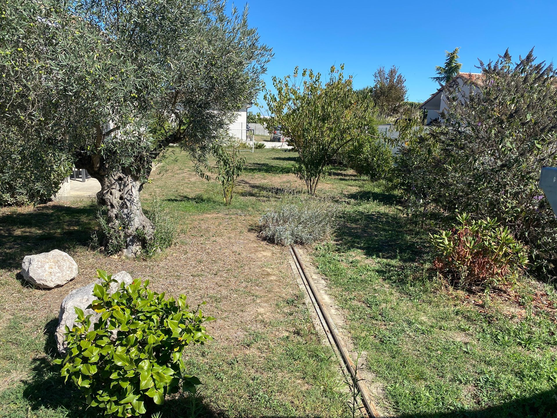 Jardin verdoyant avec arbres, buissons et allée.