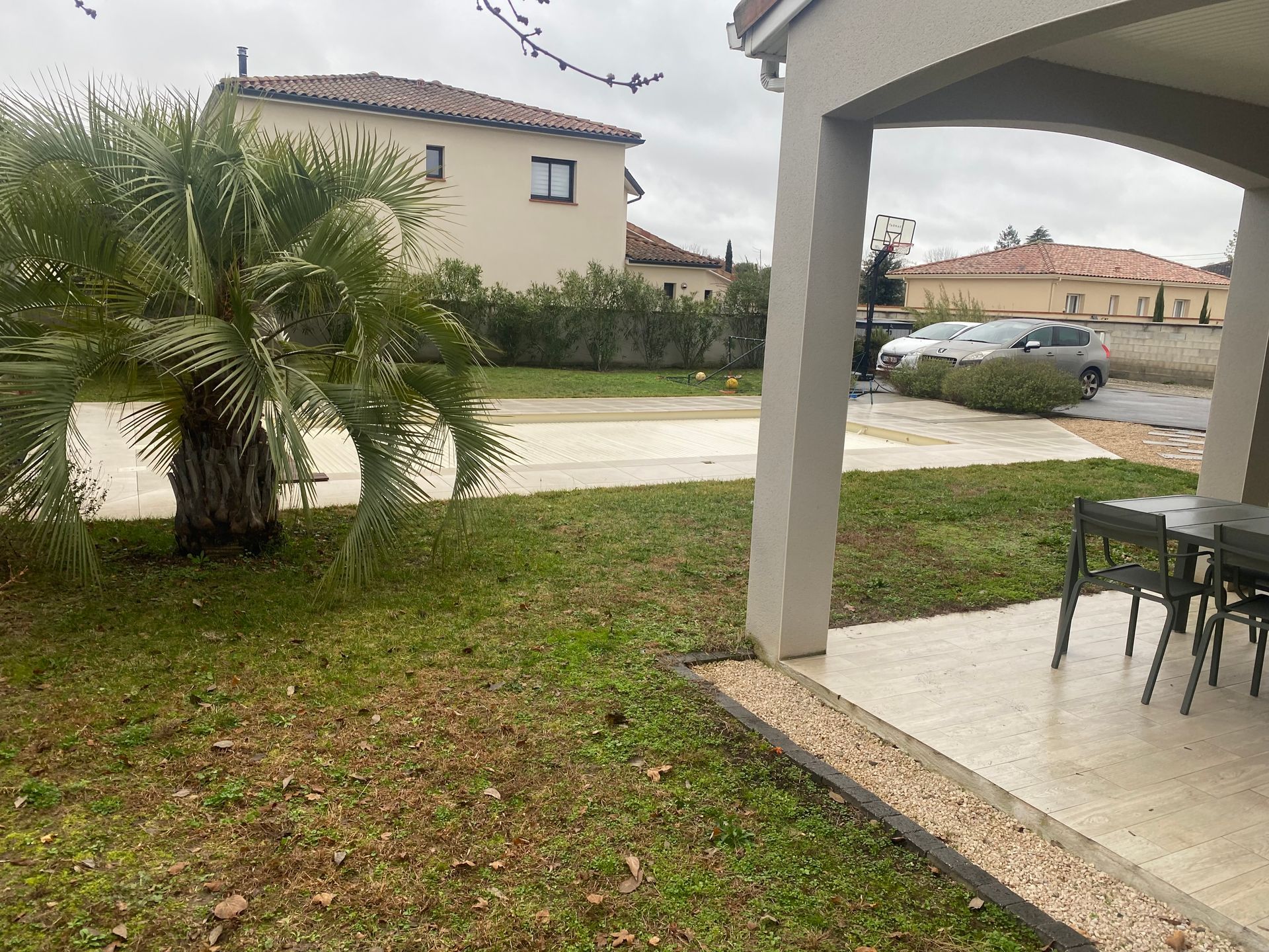 Pelouse et terrasse d'une maison avec un palmier.