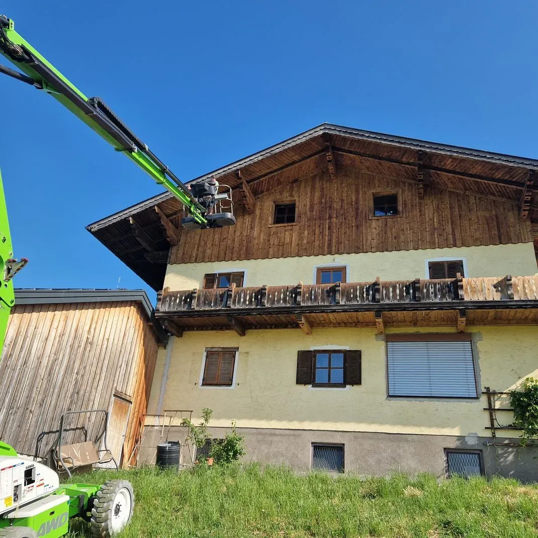 Ein grüner Kranich steht vor einem großen Haus.