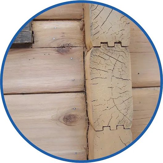 Eine Nahaufnahme von einem Stück Holz in einem blauen Kreis