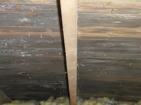 Eine Nahaufnahme einer Holzwand mit Nägeln darin.