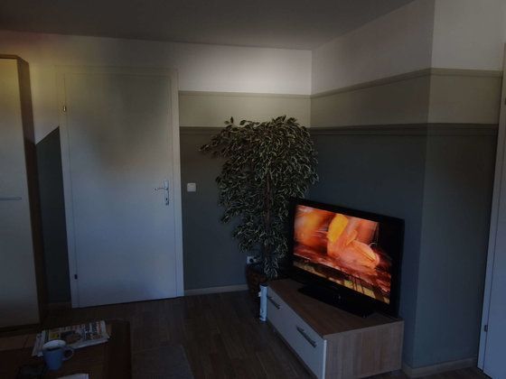 Ein Wohnzimmer mit Fernseher und Pflanze