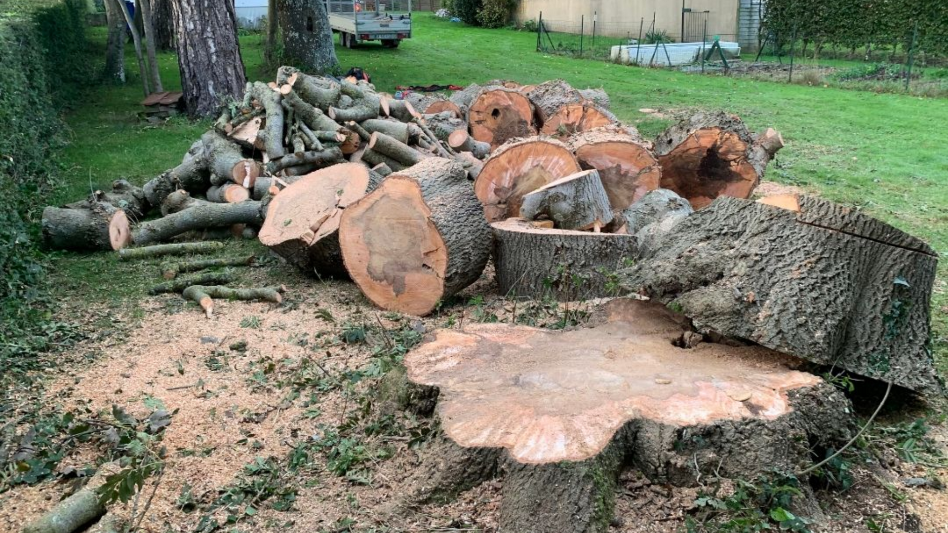 Un tas de bois de chauffage coupé et de souches d'arbres sur une pelouse.