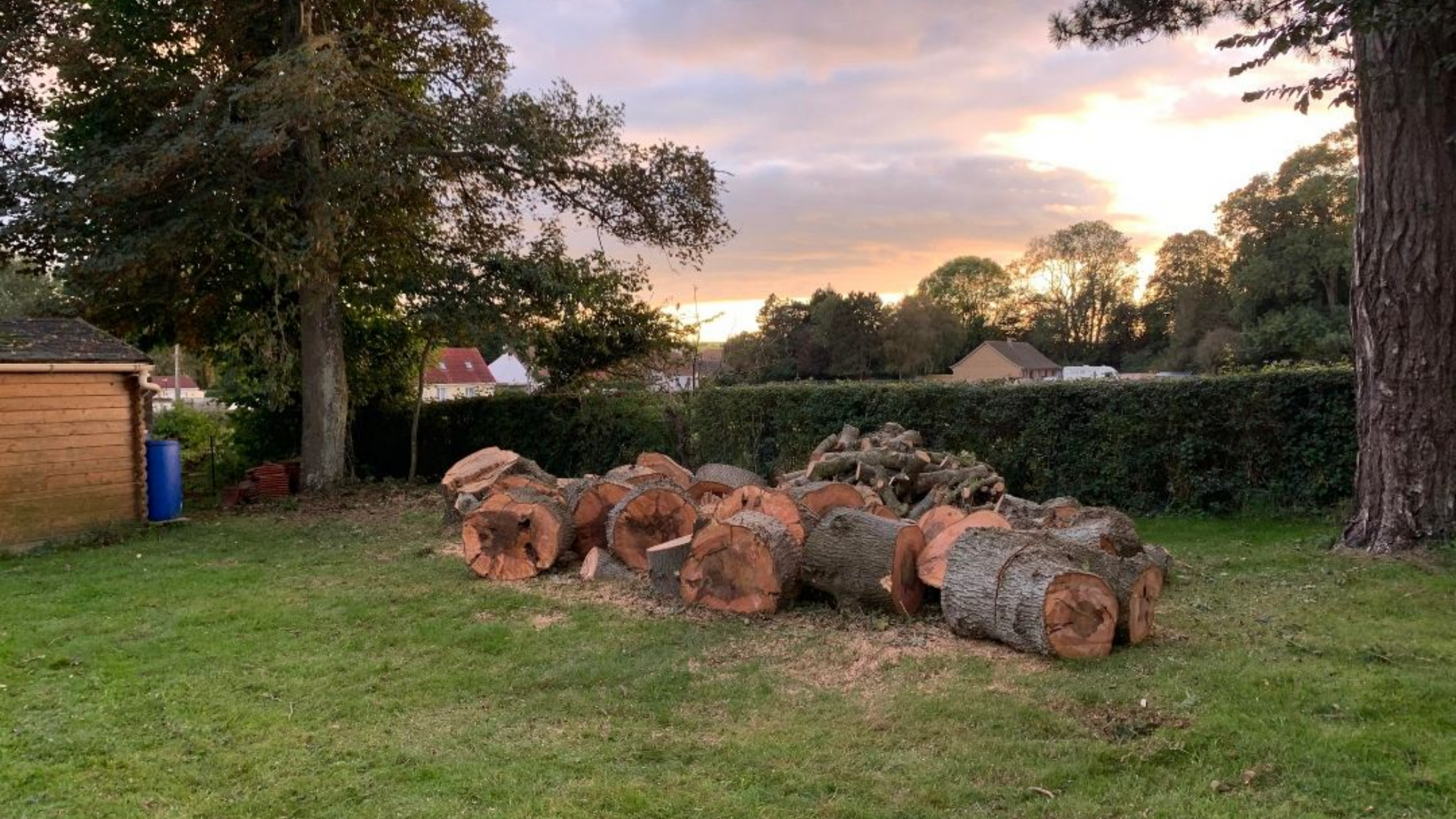 Des bûches empilées sur l'herbe, avec des arbres et une maison en arrière-plan, au crépuscule.