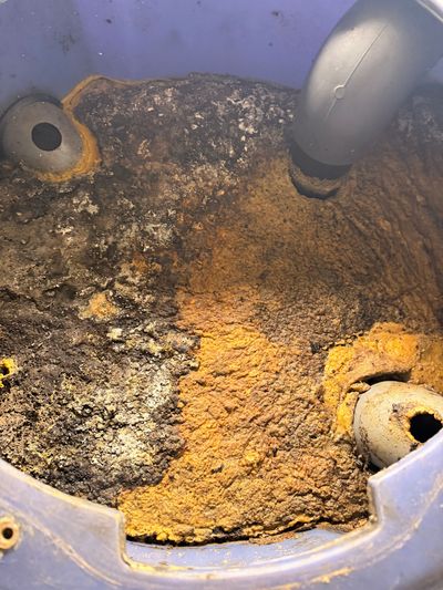 Gros plan sur l’intérieur d’une cuve corrodée, avec de la rouille, des dépôts minéraux et deux tuyaux.