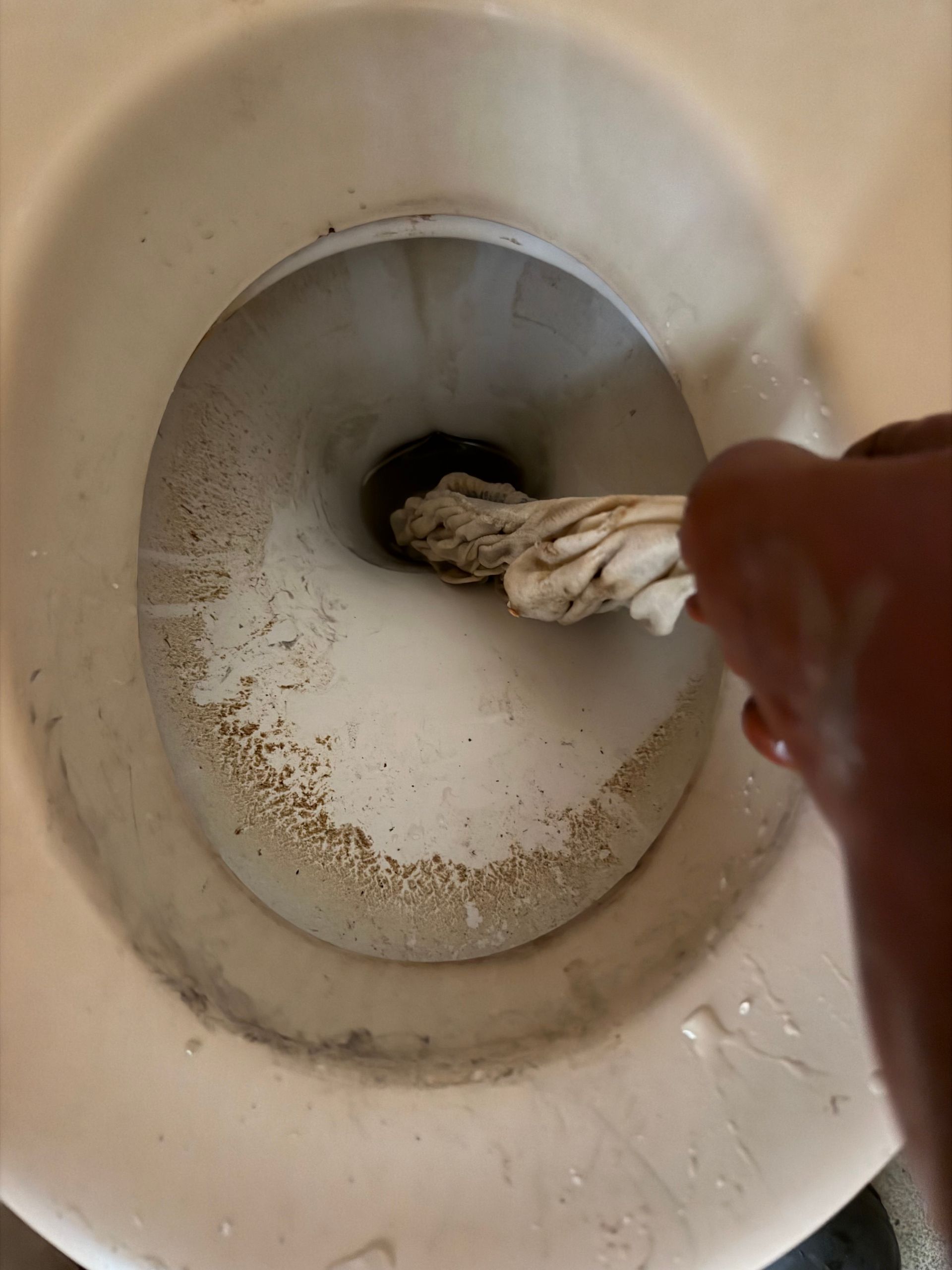 Une main plonge dans la cuvette sale des toilettes avec un chiffon ou une éponge.