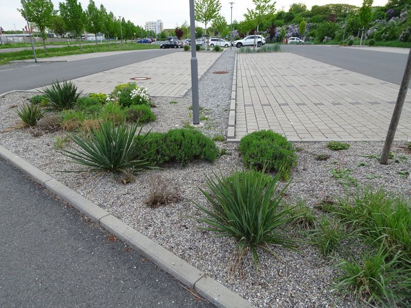 Bepflanzter Mittelstreifen zwischen den Parkplätzen, gepflastert mit Kies und Pflastersteinen.