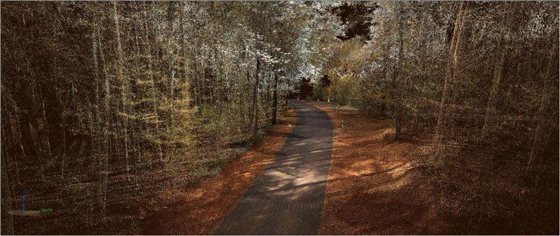 kinematisches Laserscanning der Landstraße Mess-Korridor in der Perspektive Wald