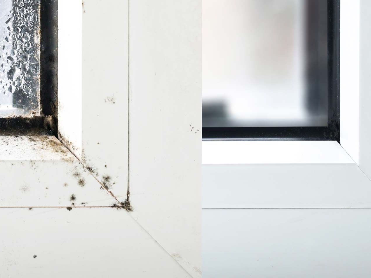 Home- ja kuitupölysiivoukset - Tasoa Oy