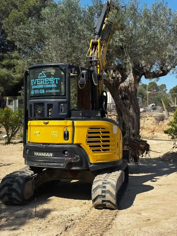 Excavadora amarilla demoliendo un edificio, levantando polvo bajo un cielo azul.