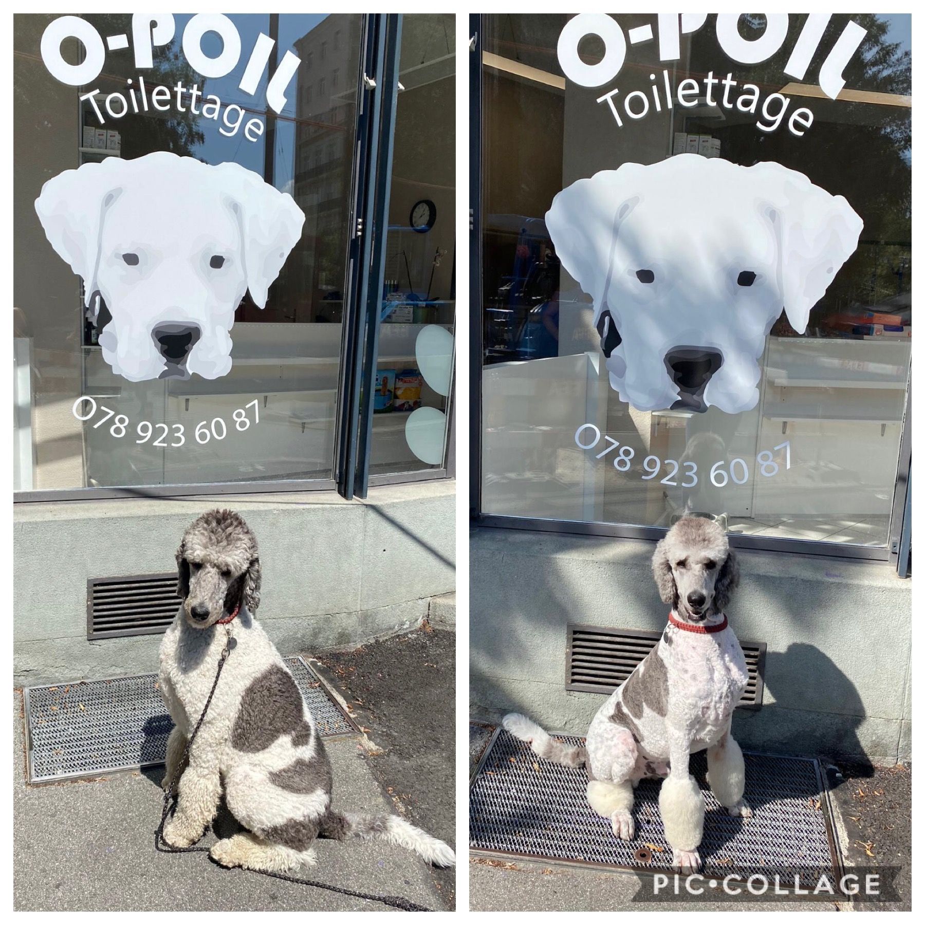 O-Poil