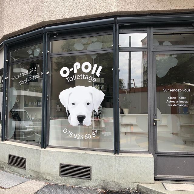 O-Poil