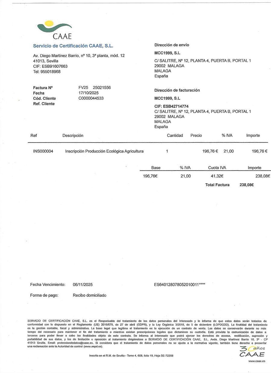 Factura de CAMI con servicios detallados, importes y totales.