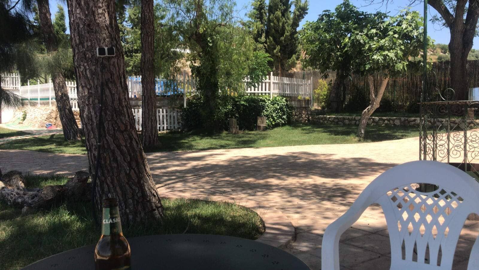 Una escena soleada al aire libre con un árbol, una silla y una mesa con una botella en una zona verde con árboles y una cerca blanca al fondo.
