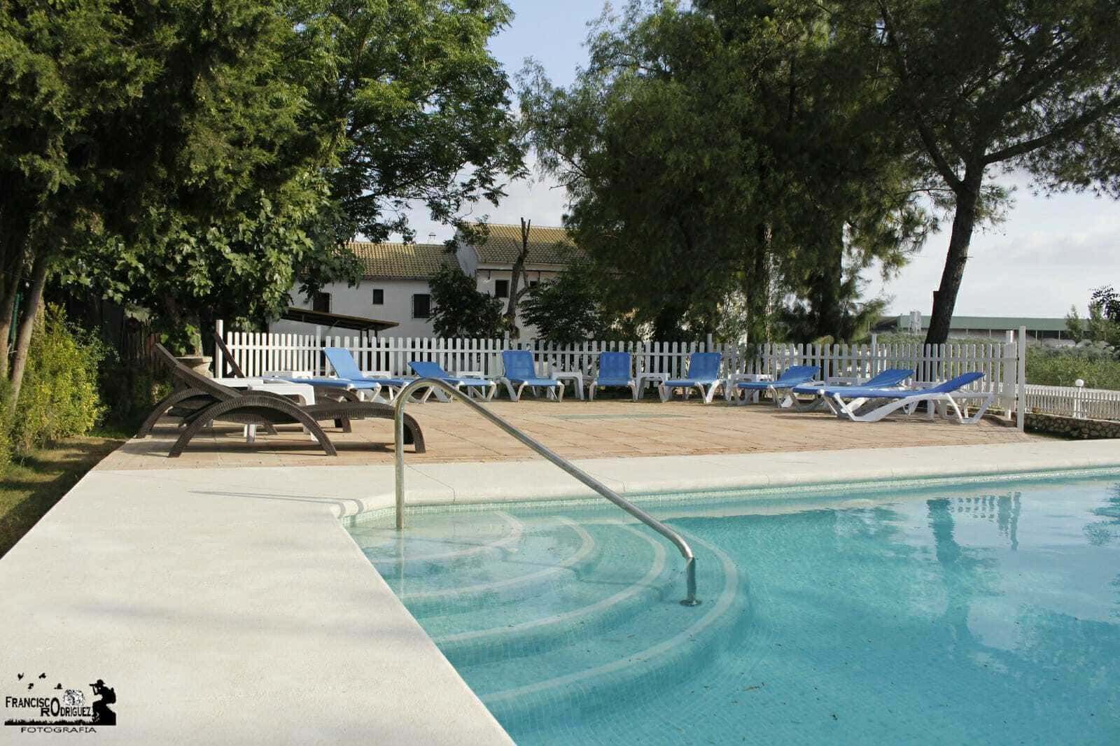 Piscina con escalones, tumbonas y edificio al fondo, todo detrás de una valla blanca.