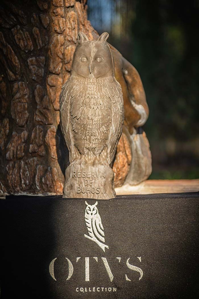 Una figura esculpida de un búho se encuentra frente a un fondo de madera texturizada, encima del texto