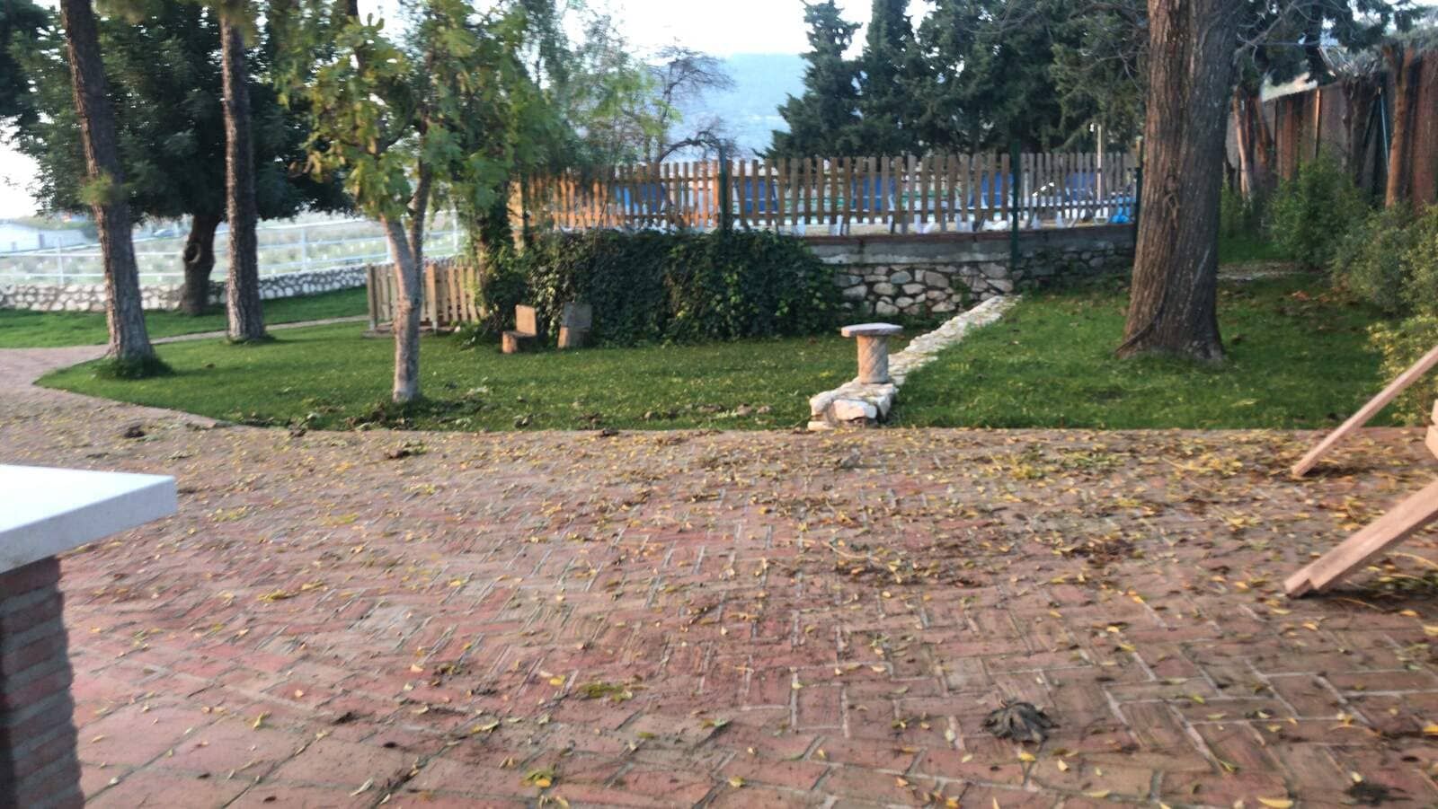 Patio de ladrillo que conduce a un patio con césped, árboles, plantas y una cerca de madera.