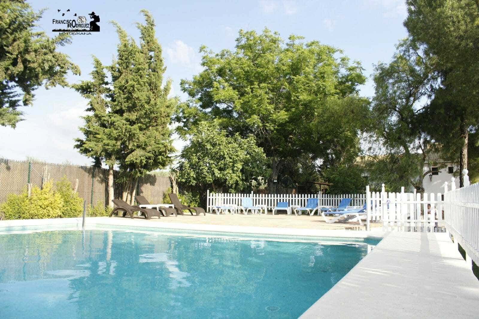 Piscina con árboles, valla blanca y tumbonas en un día soleado.