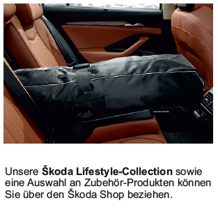 Bild von Kupplung an einem blauen Wagen 
