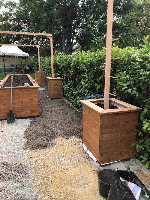 Hölzerne Pflanzkästen entlang eines Kieswegs neben einer Hecke in einem Gartenbereich im Freien