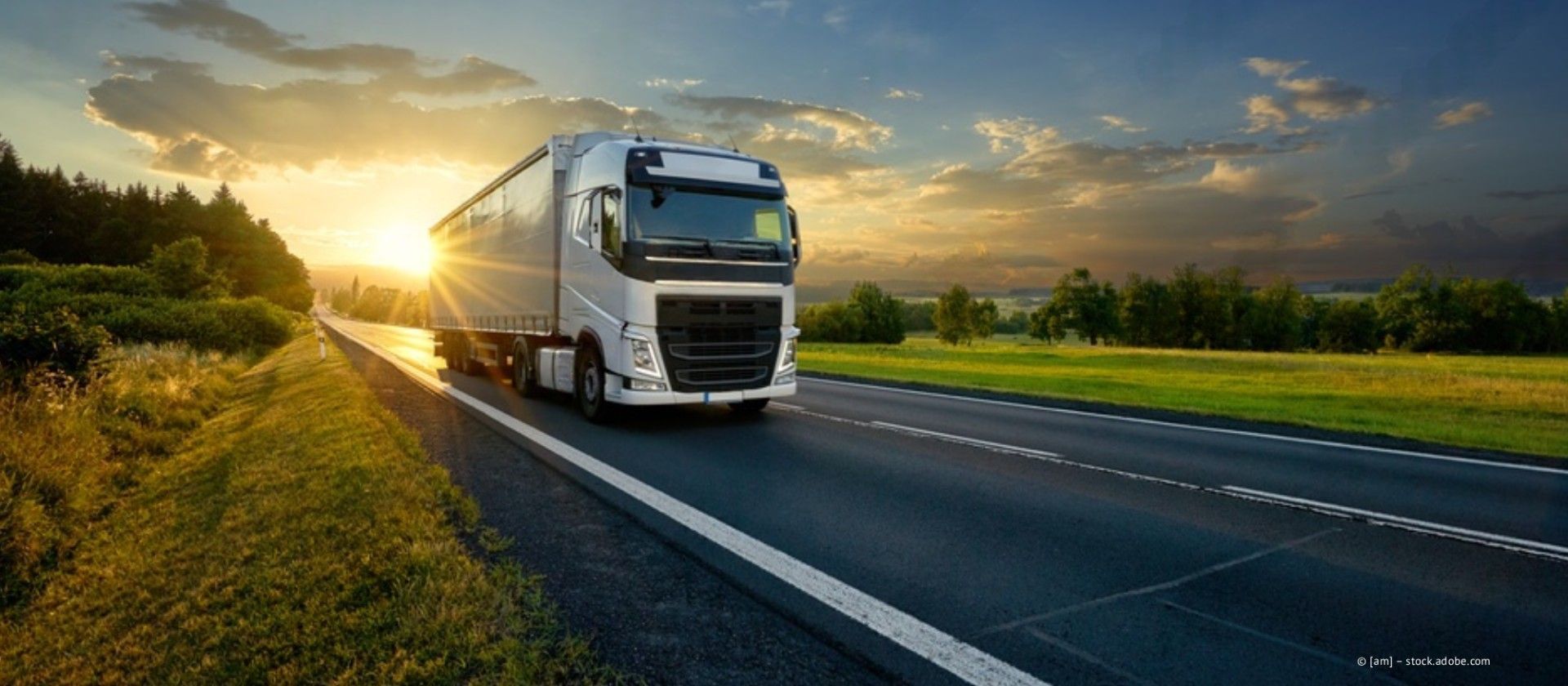 Ein Sattelzug fährt auf einer Autobahn neben anderen Autos; die Straße ist von Bäumen und einer Leitplanke gesäumt.