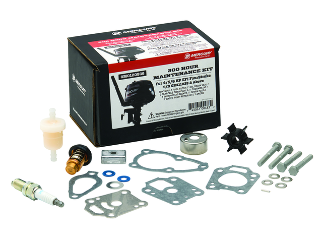 300 Std Service Kit Mercury 4/5/6 PS EFI Seriennummer 0R411838 und höher