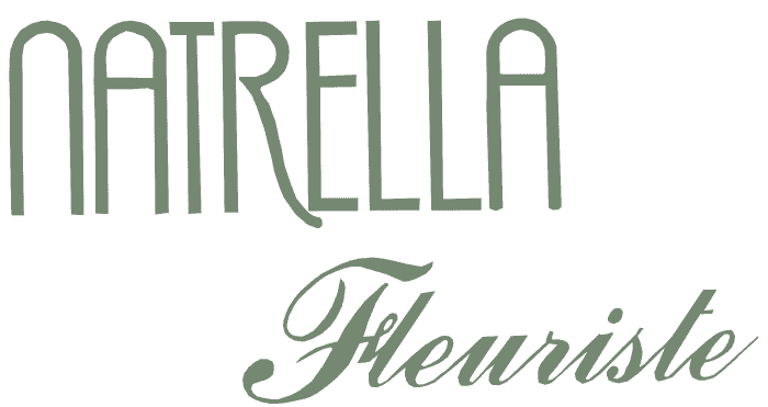 Logo NATRELLA Fleuriste